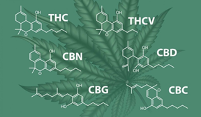 El cannabis como terapia medicinal