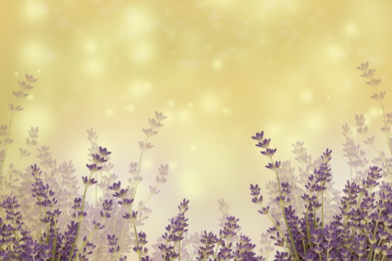 El sol y la magia en la primavera