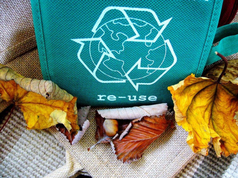 ¿Por qué es importante el reciclaje?