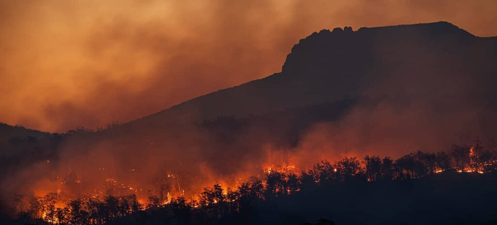 Incendios forestales aumentarán un 30% para 2050 y un 50% para fin de siglo