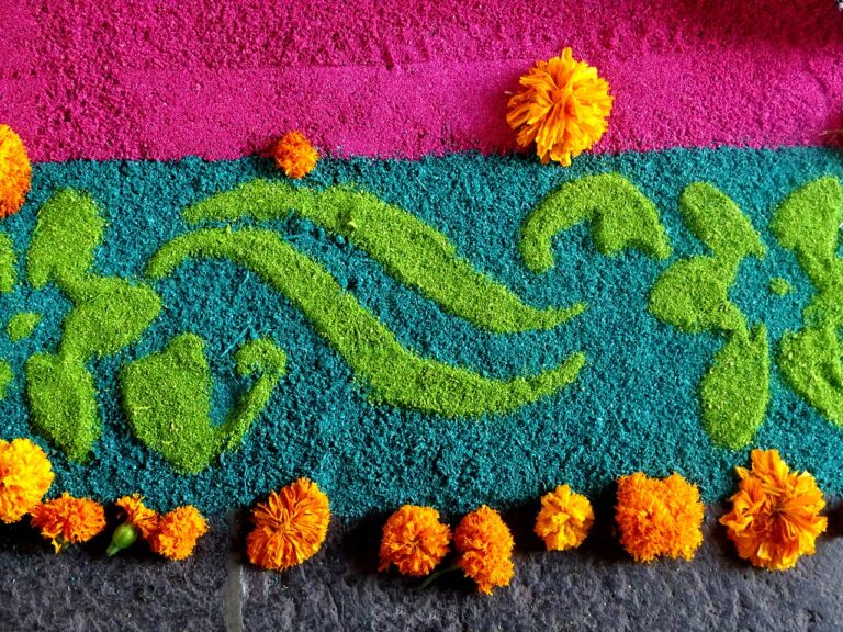 Inicia el cultivo de flores de cempasúchil