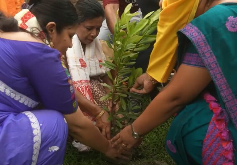 Conoce a los ganadores del Programa de las Naciones Unidas para el Medio Ambiente