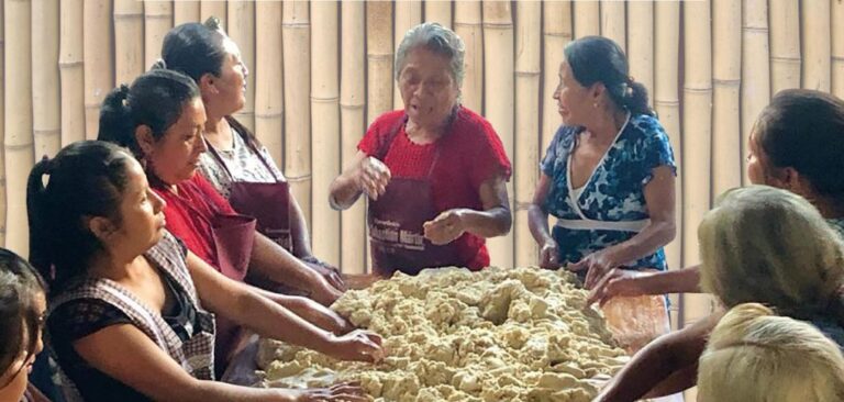 Primer Encuentro de Cocinas Tradicionales “Sabores de Veracruz”