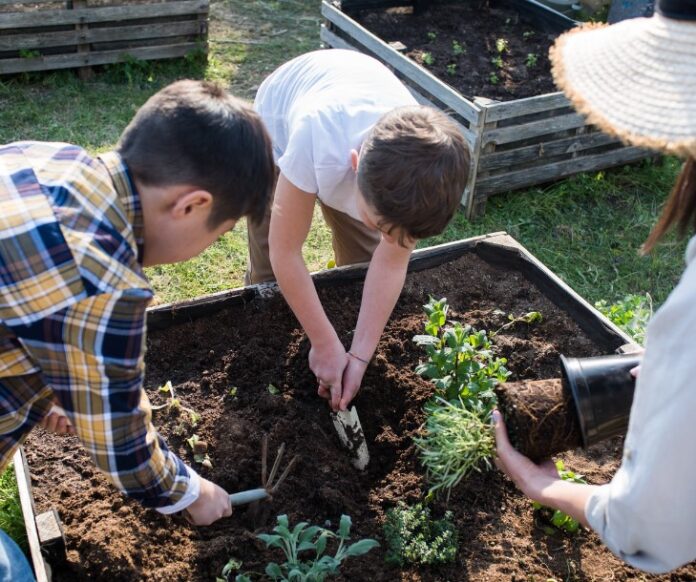 Jardinería Sostenible: Cuidando la Naturaleza desde Nuestros Jardines