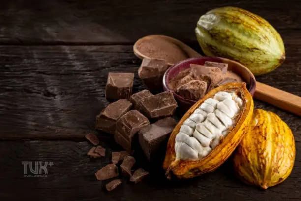 El Cacao en la Civilización Maya: Costumbres, Creencias y Consumo