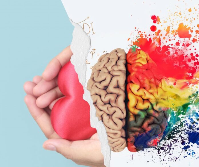 El cerebro y el amor: una mirada a la conexión entre nuestras emociones y la actividad cerebral