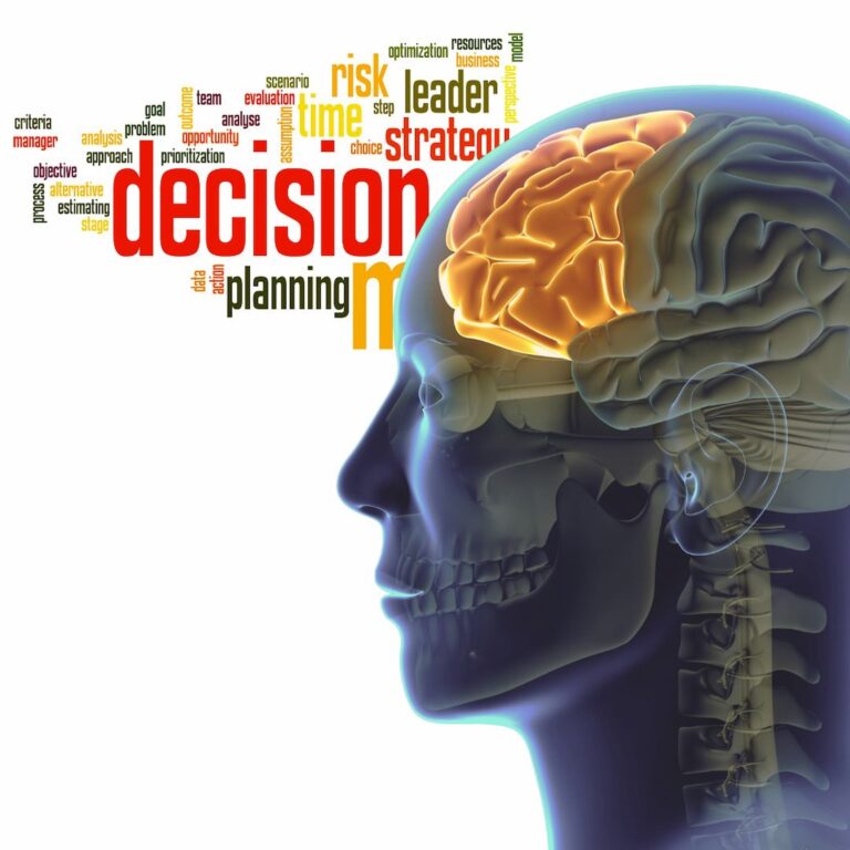 La toma de decisiones en el desarrollo: el papel de la corteza prefrontal La toma de decisiones en el desarrollo: el papel de la corteza prefrontal