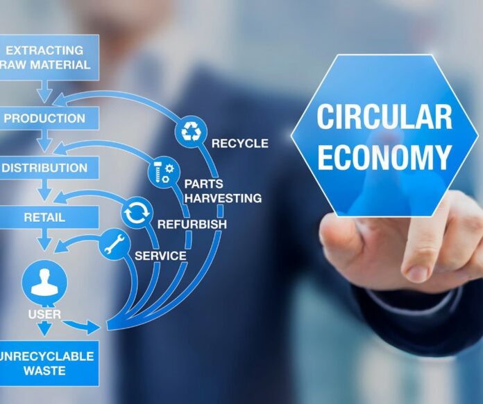 La importancia de la economía circular en este 2024