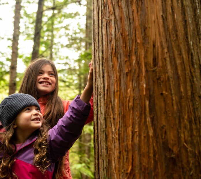 Cómo educar a los niños en el respeto a la naturaleza