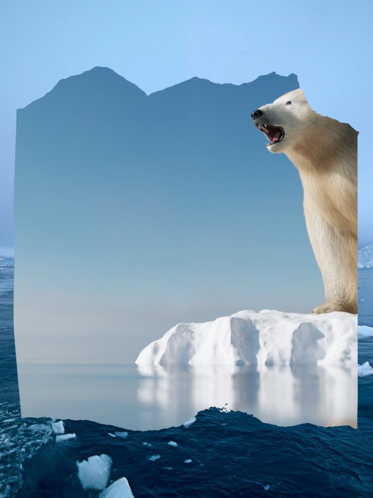 Advierten científicos sobre el impacto del cambio climático en el Ártico Advierten científicos sobre el impacto del cambio climático en el Ártico