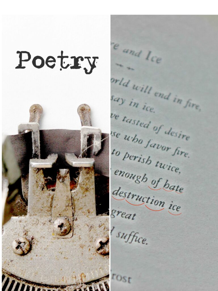 ¿Cómo se hace una poesía y qué es la métrica? ¿Cómo se hace una poesía y qué es la métrica?
