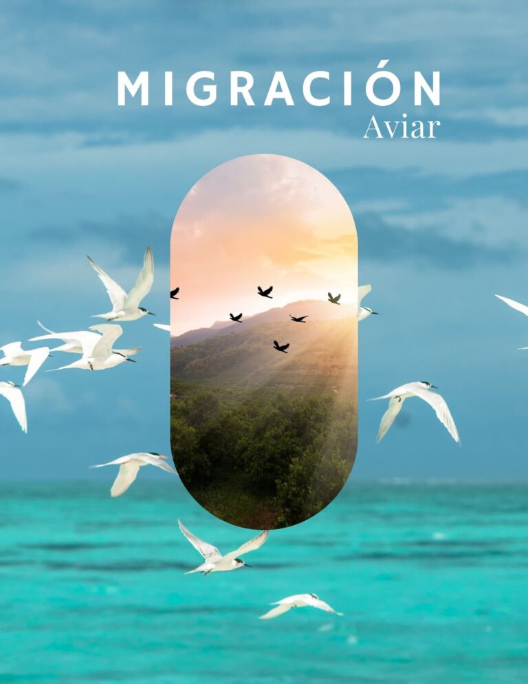 Un Vuelo Interferido por el impacto humano en la Migración Aviar Un Vuelo Interferido, por el impacto humano en la Migración Aviar