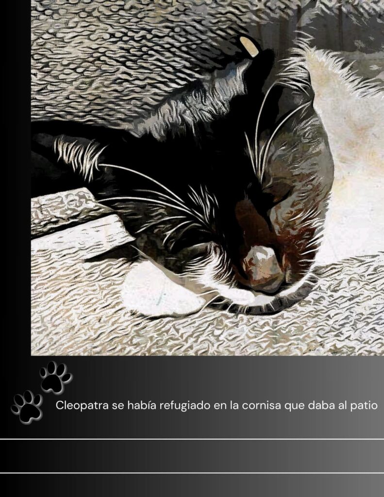 Tríptico del gato; José Emilio Pacheco