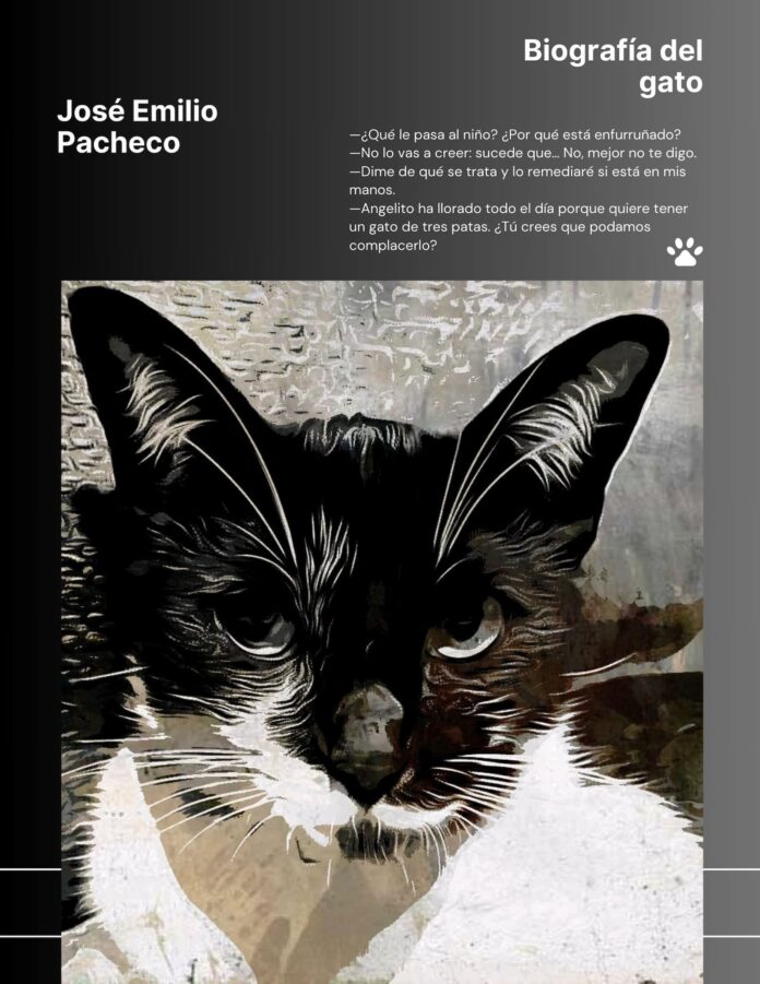 Tríptico del gato; José Emilio Pacheco