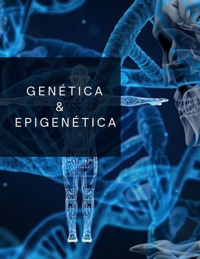 Descifrando el Código de la Vida: Genética vs. Epigenética