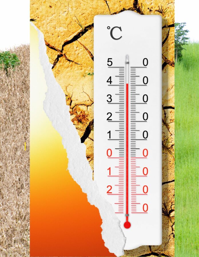 Impacto y previsiones de las olas de calor de este mes de mayo