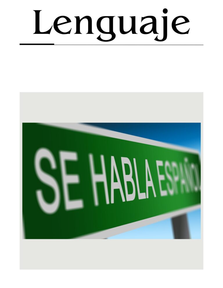 Explorando los Vicios del Lenguaje en el Español