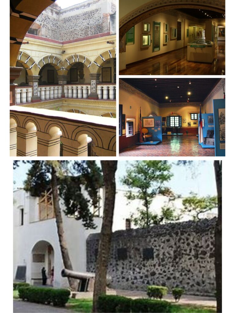 ¿Cuál es la relevancia de los museos en Coyoacán?