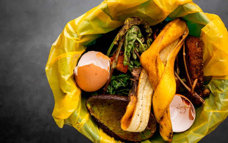 El desperdicio alimentario, un problema global que requiere soluciones urgentes
