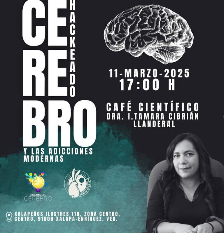 Semana del Cerebro en Xalapa: Ciencia y conocimiento al alcance de todos