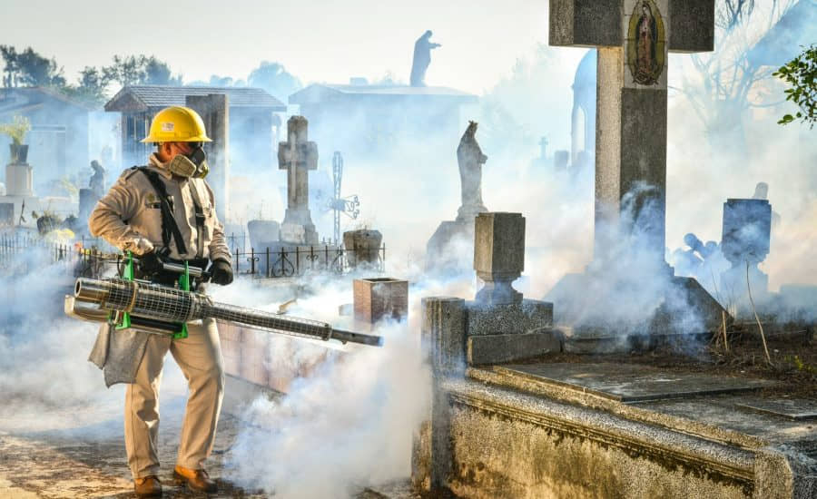 Dengue bajo la lupa: salud, cultura y medioambiente en tiempos de calor