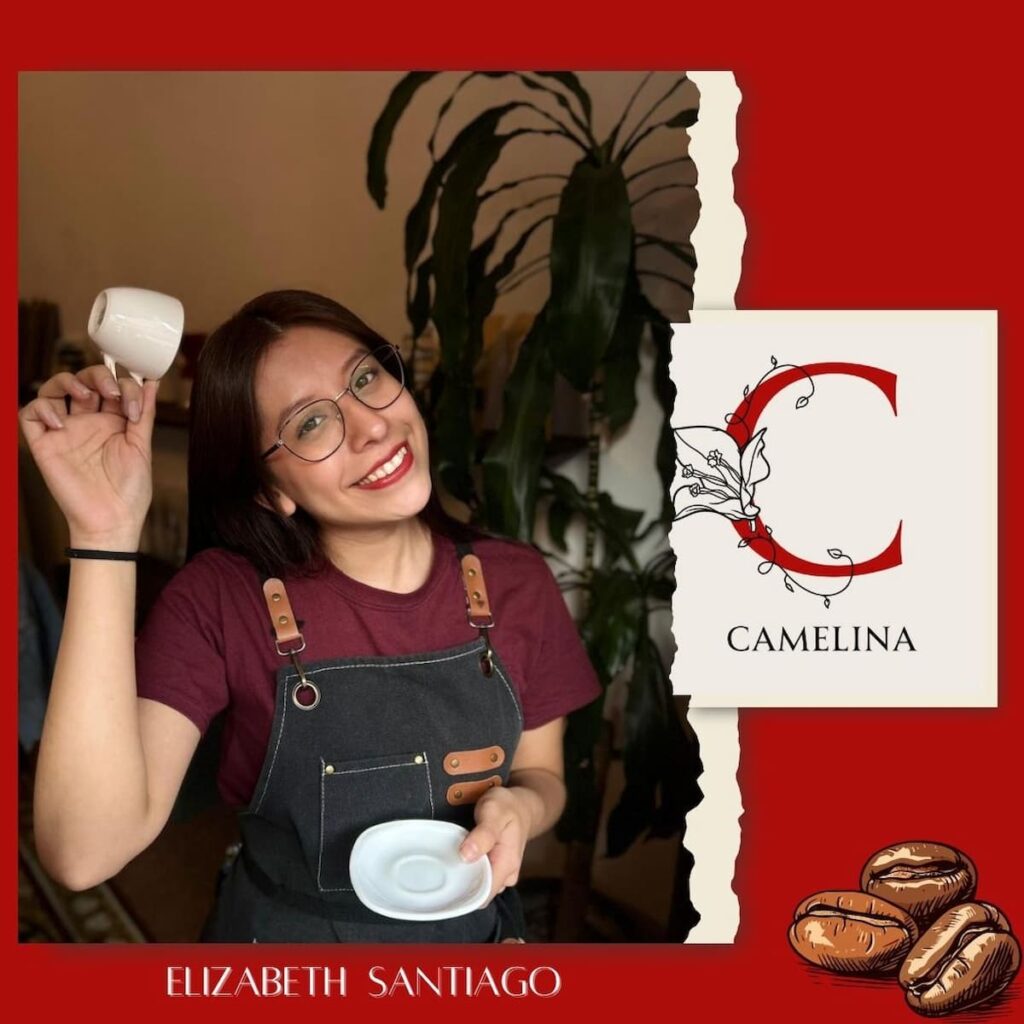 CAFÉ CAMELINA, DONDE XALAPA SE SIRVE EN TAZA 