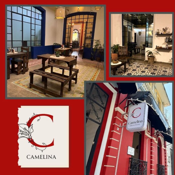 CAFÉ CAMELINA, DONDE XALAPA SE SIRVE EN TAZA 