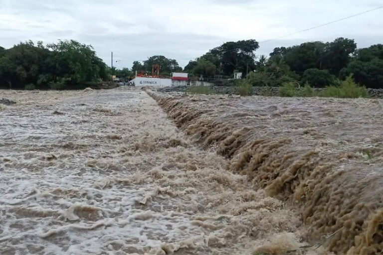 Veracruz unido: centros de acopio reciben donativos para damnificados tras las inundaciones