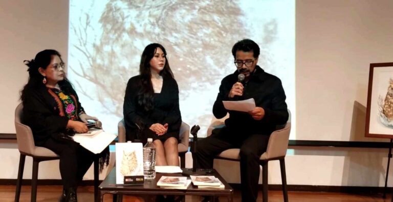 Entre Libros y Arte en Coyoacán