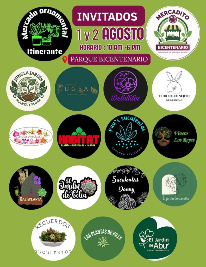 Floricultores regionales participan en la tercera edición de Mercadito Bicentenario en Xalapa