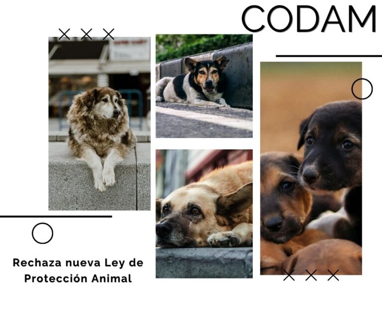 CODAM rechaza nueva Ley de Protección Animal