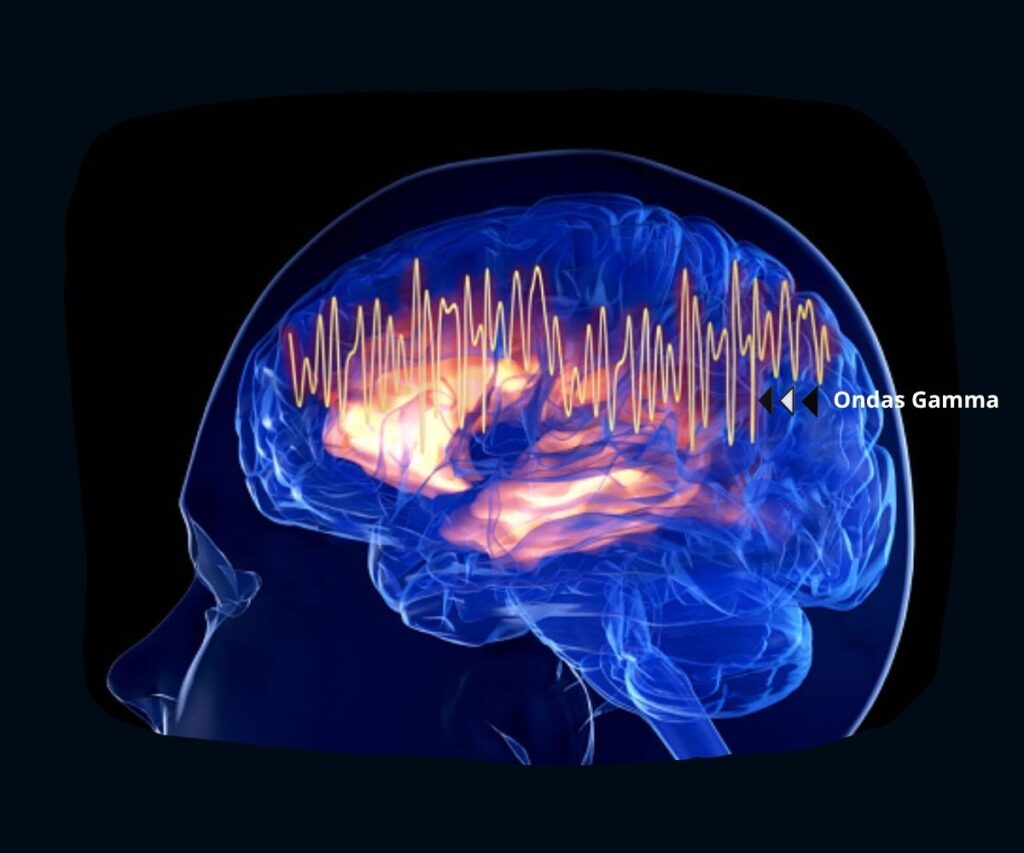 ¿Qué pasa cuando muere el cerebro?