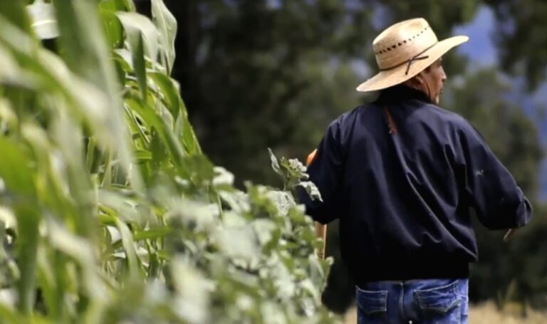 Gobierno propone reforma ambiental para restaurar ecosistemas y proteger defensores