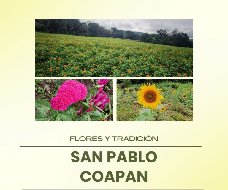 Flores y Tradición en San Pablo Coapan